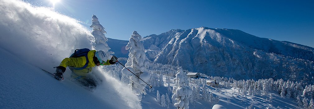 Skiing deep powder snow in Japan