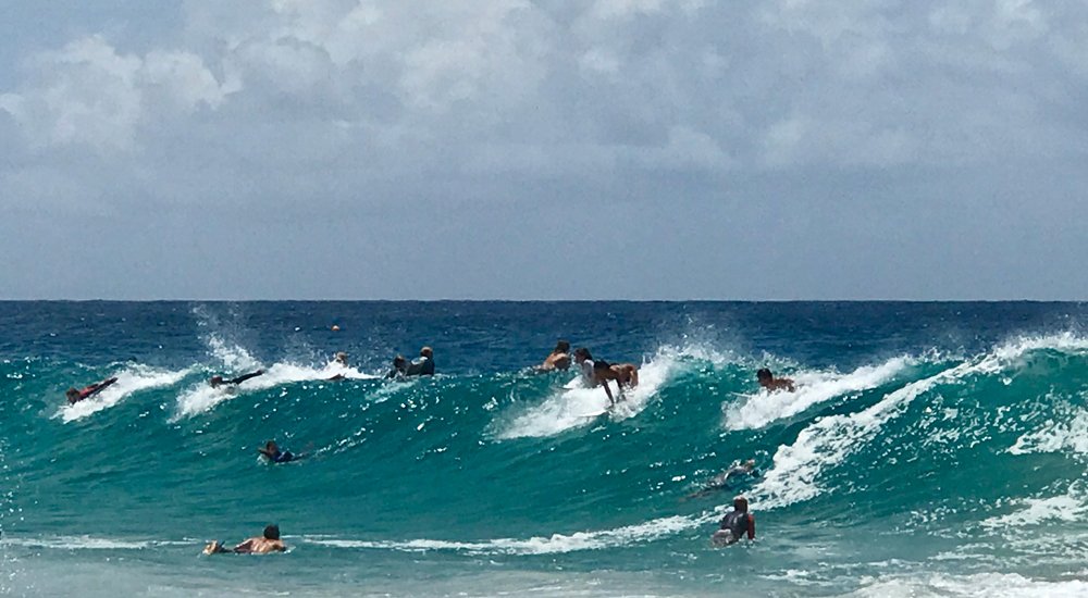 Snapper_Rocks,_Coolangatta,_Gold_Coast,_Queensland_08